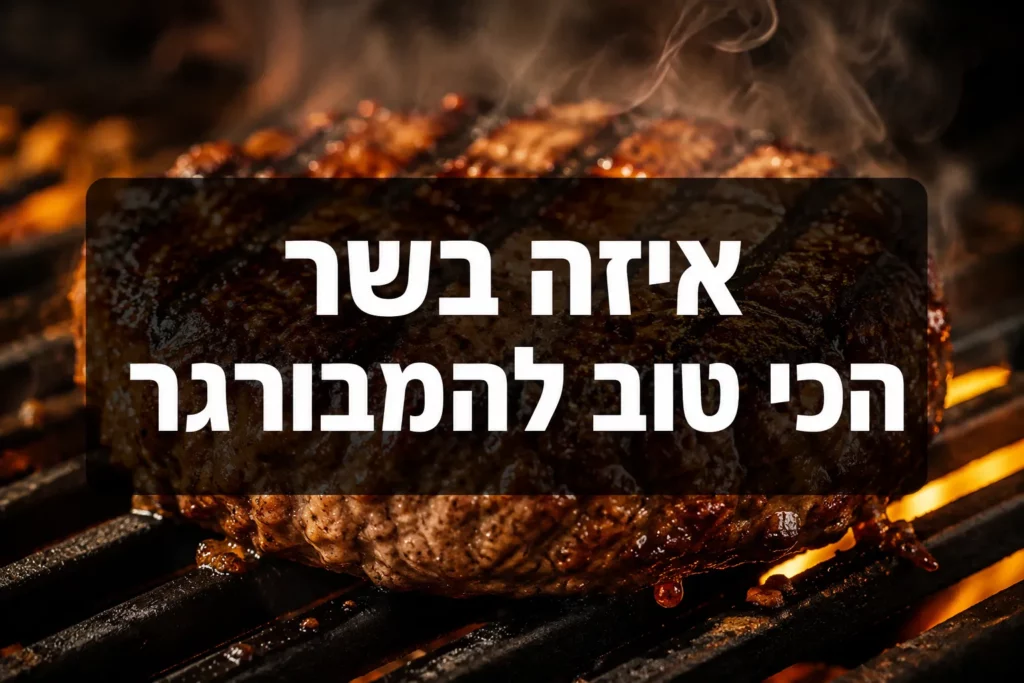 איזה בשר הכי טוב להמבורגר? מדריך הנתחים והתערובת המושלמת